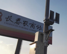 圖片11